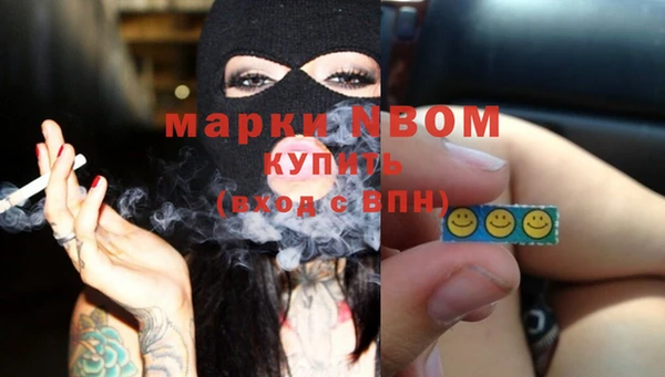 гашик Богородск