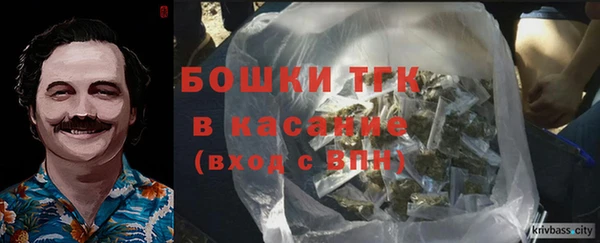 гашик Богородск