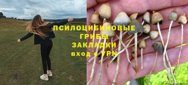 гашик Богородск
